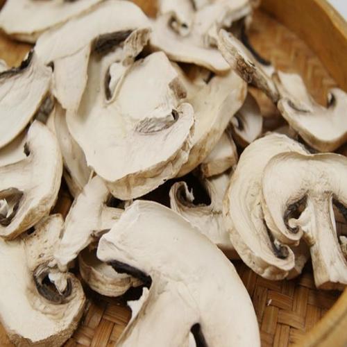 农副产品古田特产双孢菇蘑菇