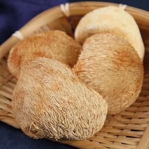猴头菇干货营养菌菇新鲜养胃农产品特产干货猴菇猴蘑猴头菌100g
